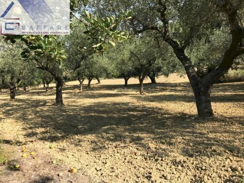 Foto 3 - Terreno edificabile s.n, Montesilvano - foto 3