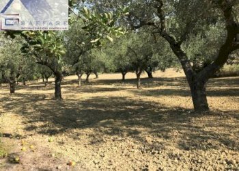 Foto 3 - Terreno edificabile s.n, Montesilvano - foto 3