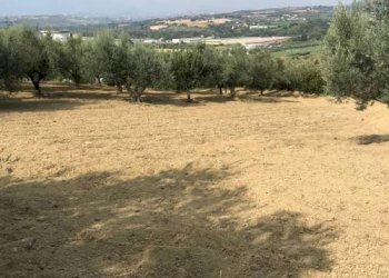 Foto 4 - Terreno edificabile s.n, Montesilvano - foto 4