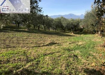 Foto 6 - Terreno edificabile s.n, Montesilvano - foto 6