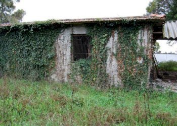 Foto 6 - Rustico colle scarano
 
0, Velletri - foto 6