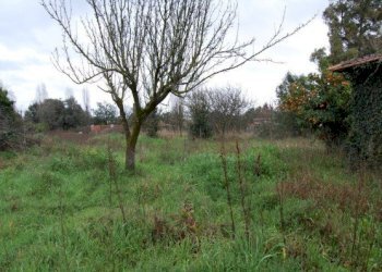 Foto 8 - Rustico colle scarano
 
0, Velletri - foto 8