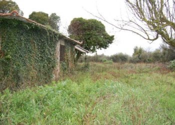 Foto 9 - Rustico colle scarano
 
0, Velletri - foto 9