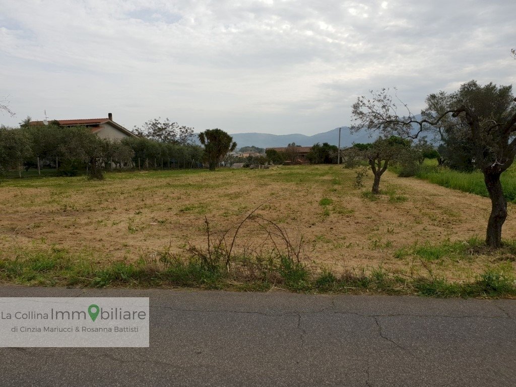 Foto 1 - Terreno agricolo via vecchia napoli, Velletri - foto 1