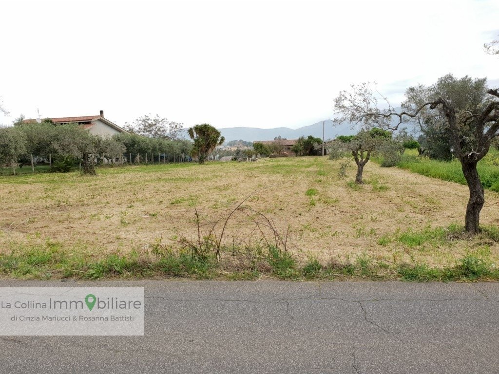 Foto 2 - Terreno agricolo via vecchia napoli, Velletri - foto 2