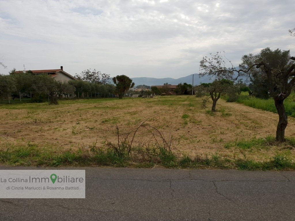 Foto 3 - Terreno agricolo via vecchia napoli, Velletri - foto 3