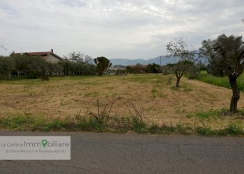 Foto 1 - Terreno agricolo via vecchia napoli, Velletri - foto 1
