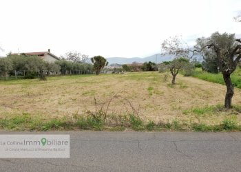 Foto 2 - Terreno agricolo via vecchia napoli, Velletri - foto 2