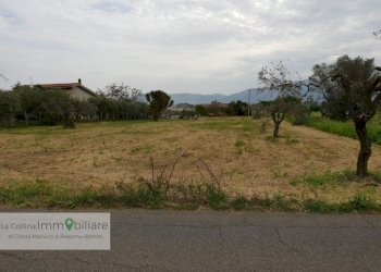 Foto 3 - Terreno agricolo via vecchia napoli, Velletri - foto 3