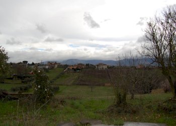 Foto 4 - Terreno agricolo via vecchia napoli, Velletri - foto 4