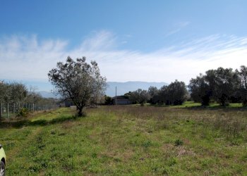 Foto 6 - Terreno agricolo via vecchia napoli, Velletri - foto 6