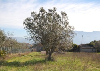 Foto 7 - Terreno agricolo via vecchia napoli, Velletri - foto 7