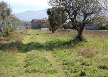 Foto 8 - Terreno agricolo via vecchia napoli, Velletri - foto 8