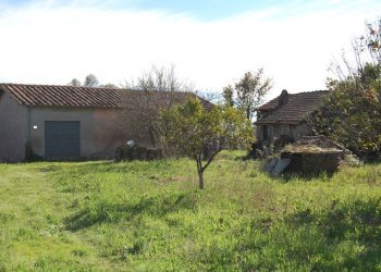 Foto 10 - Terreno agricolo via vecchia napoli, Velletri - foto 10