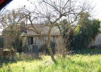 Foto 11 - Terreno agricolo via vecchia napoli, Velletri - foto 11