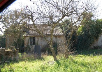 Foto 12 - Terreno agricolo via vecchia napoli, Velletri - foto 12