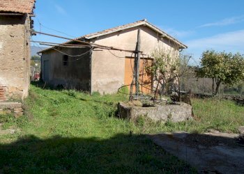 Foto 13 - Terreno agricolo via vecchia napoli, Velletri - foto 13