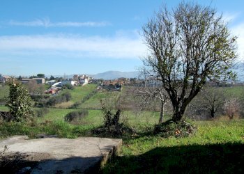 Foto 15 - Terreno agricolo via vecchia napoli, Velletri - foto 15