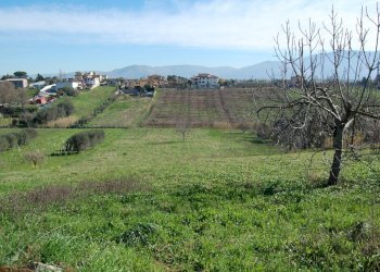 Foto 16 - Terreno agricolo via vecchia napoli, Velletri - foto 16