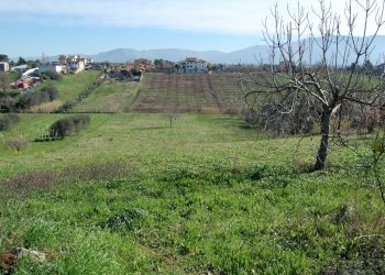 Foto 17 - Terreno agricolo via vecchia napoli, Velletri - foto 17