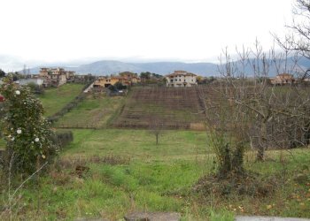 Foto 18 - Terreno agricolo via vecchia napoli, Velletri - foto 18