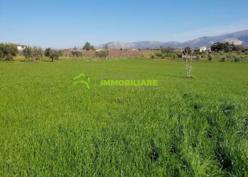 Foto 6 - Terreno edificabile via vecchia napoli, Velletri - foto 6