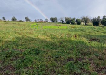 Foto 2 - Terreno agricolo castel ginnetti, Velletri - foto 2