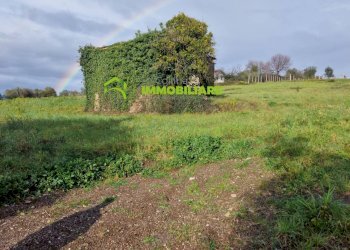 Foto 3 - Terreno agricolo castel ginnetti, Velletri - foto 3