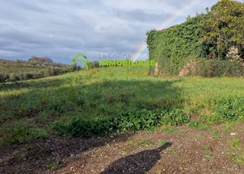Foto 4 - Terreno agricolo castel ginnetti, Velletri - foto 4