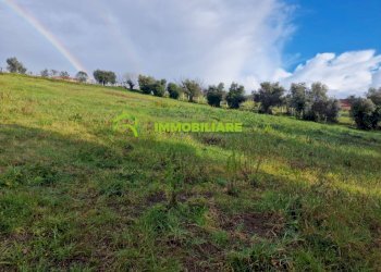 Foto 5 - Terreno agricolo castel ginnetti, Velletri - foto 5