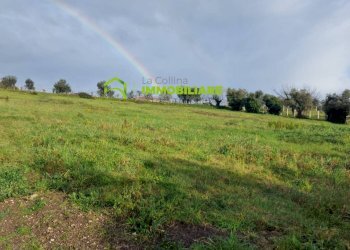 Foto 6 - Terreno agricolo castel ginnetti, Velletri - foto 6