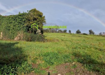 Foto 7 - Terreno agricolo castel ginnetti, Velletri - foto 7