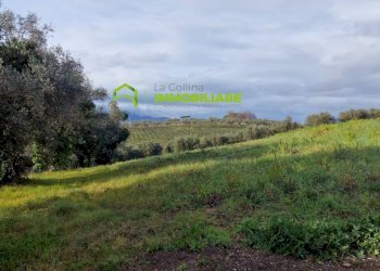 Foto 8 - Terreno agricolo castel ginnetti, Velletri - foto 8