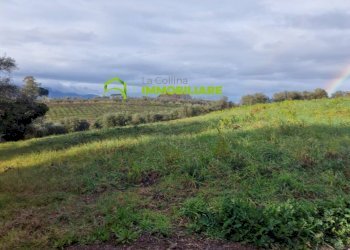 Foto 10 - Terreno agricolo castel ginnetti, Velletri - foto 10