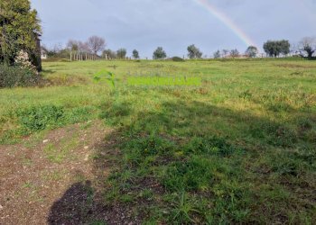 Foto 11 - Terreno agricolo castel ginnetti, Velletri - foto 11