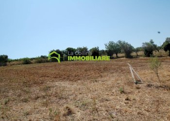 Foto 12 - Terreno agricolo castel ginnetti, Velletri - foto 12