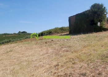 Foto 13 - Terreno agricolo castel ginnetti, Velletri - foto 13