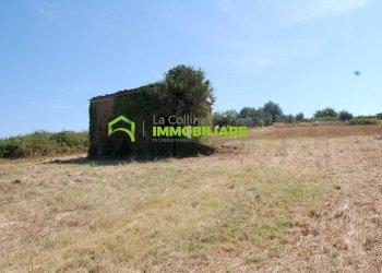 Foto 15 - Terreno agricolo castel ginnetti, Velletri - foto 15