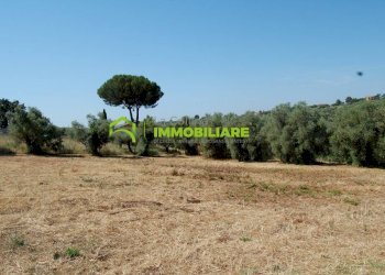 Foto 17 - Terreno agricolo castel ginnetti, Velletri - foto 17