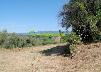 Foto 18 - Terreno agricolo castel ginnetti, Velletri - foto 18