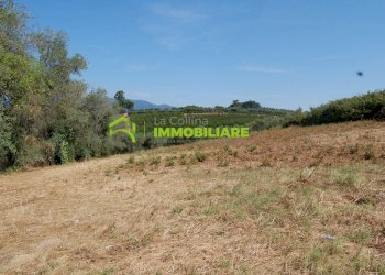 Foto 20 - Terreno agricolo castel ginnetti, Velletri - foto 20