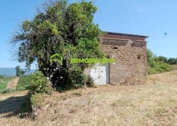 Foto 21 - Terreno agricolo castel ginnetti, Velletri - foto 21