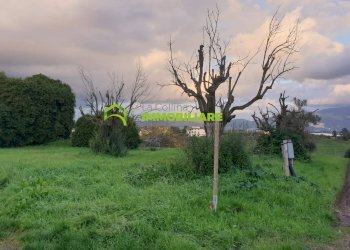 Foto 2 - Terreno agricolo VIA VECCHIA DI NAPOLI, Velletri - foto 2