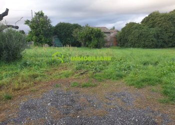 Foto 3 - Terreno agricolo VIA VECCHIA DI NAPOLI, Velletri - foto 3