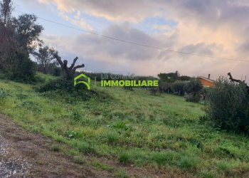 Foto 4 - Terreno agricolo VIA VECCHIA DI NAPOLI, Velletri - foto 4