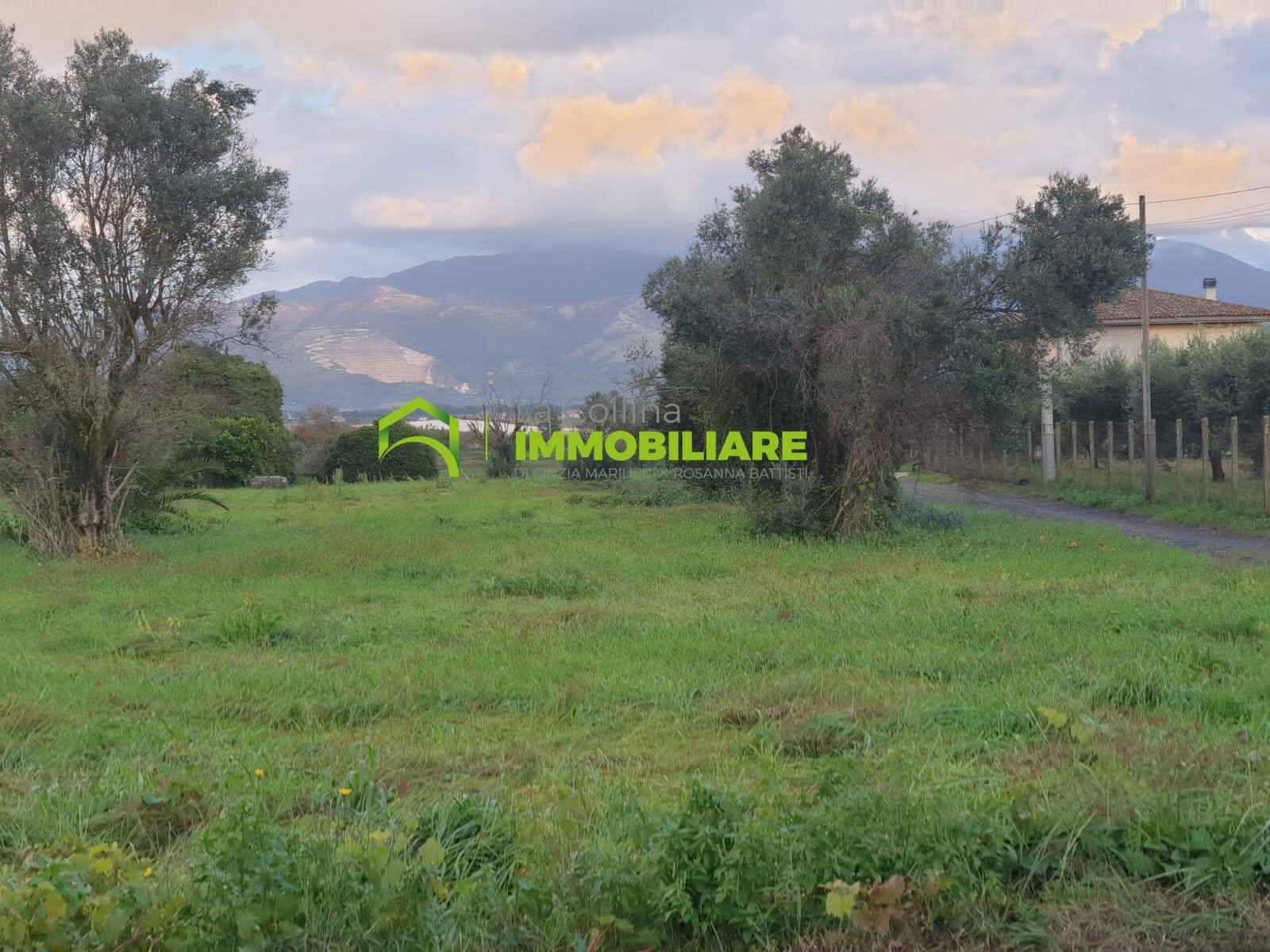 Foto 2 - Terreno agricolo VIA VECCHIA DI NAPOLI, Velletri - foto 2