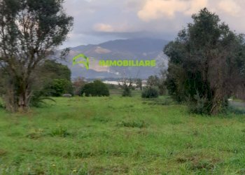 Foto 1 - Terreno agricolo VIA VECCHIA DI NAPOLI, Velletri - foto 1