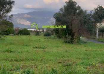 Foto 3 - Terreno agricolo VIA VECCHIA DI NAPOLI, Velletri - foto 3