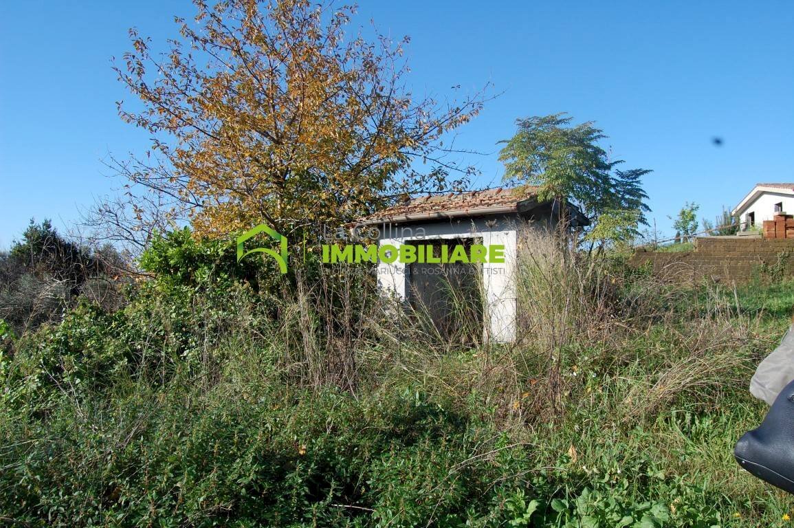 Foto 3 - Agricultural land Velletri - photo 3