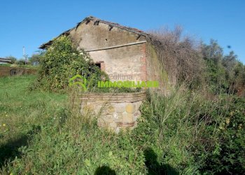 Foto 1 - Terreno agricolo Velletri - foto 1